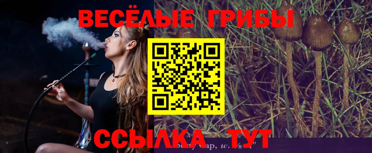 Псилоцибиновые грибы мухоморы  Вход с VPN  Шали 