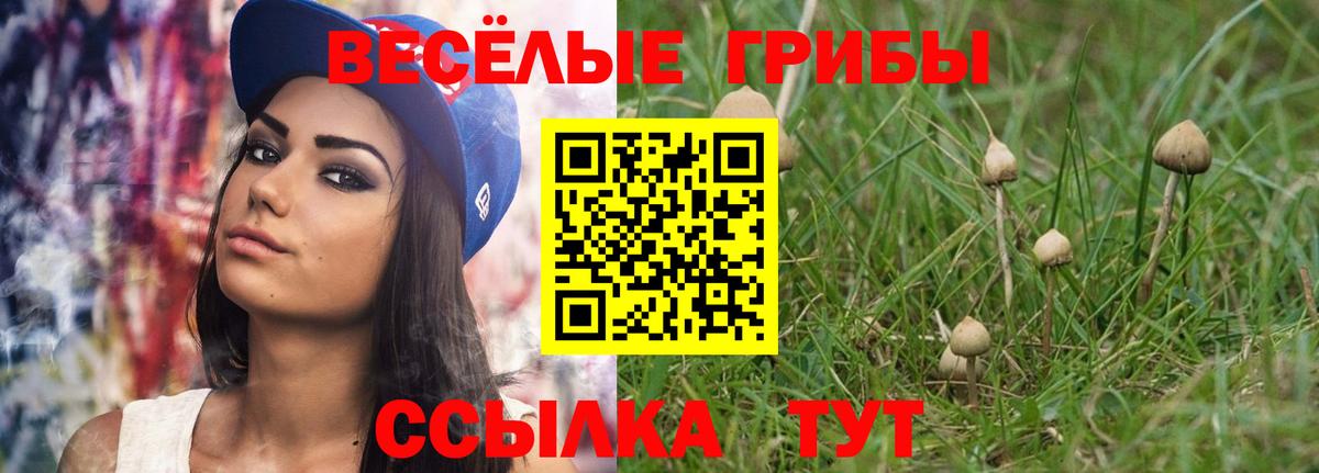 Галлюциногенные грибы Psilocybe Шали
